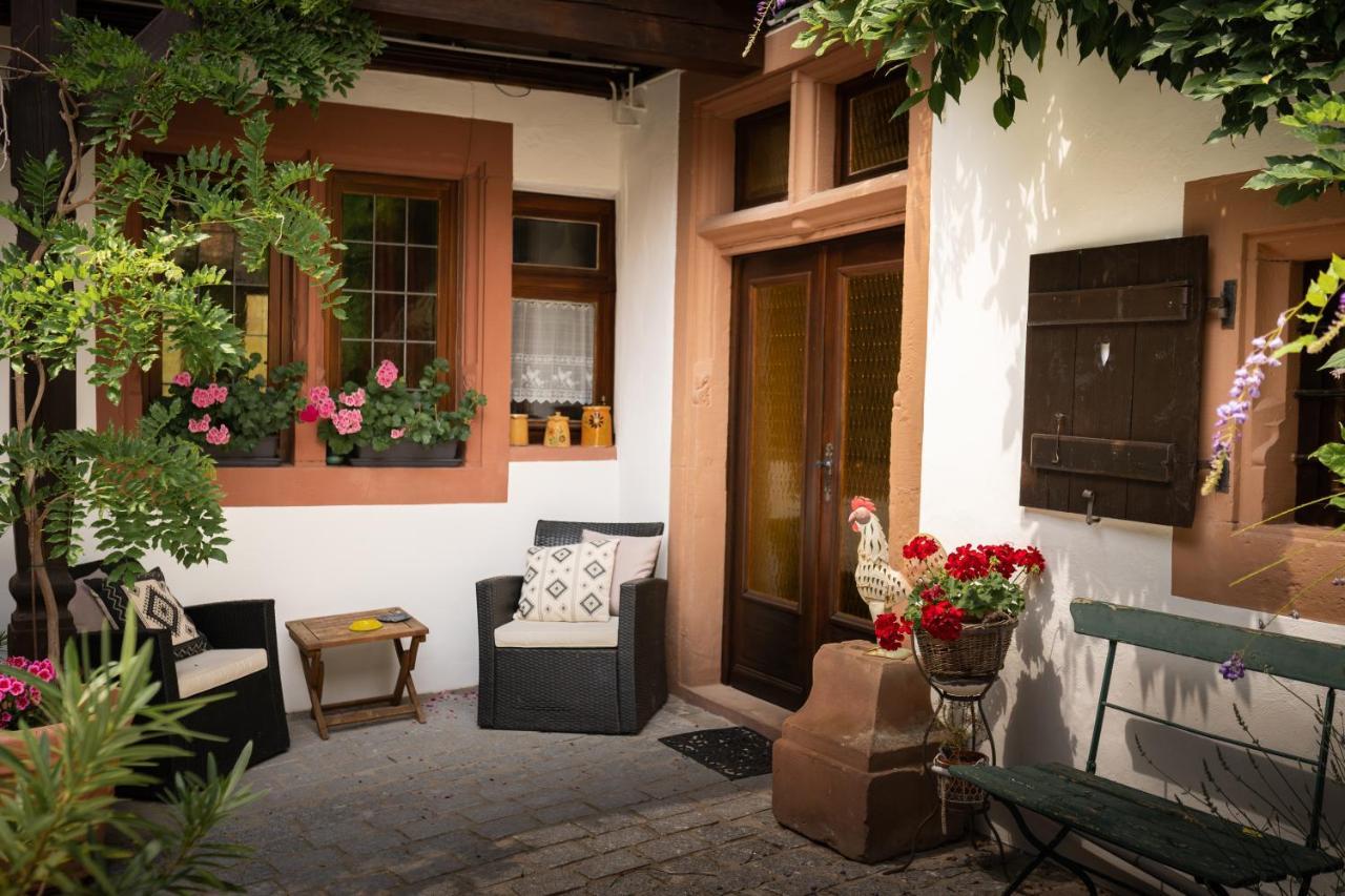 Maison Dietenbeck Wissembourg Zewnętrze zdjęcie