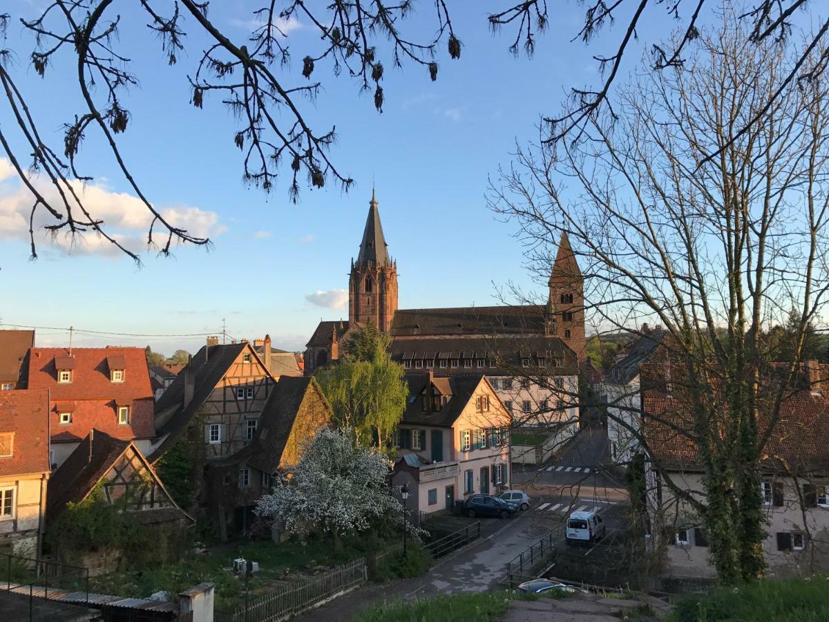 Maison Dietenbeck Wissembourg Zewnętrze zdjęcie